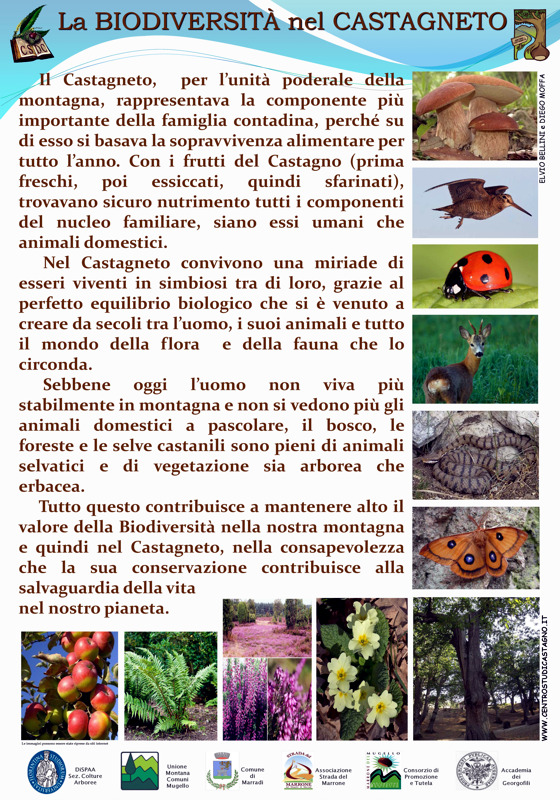 biodiversita  castagneto new
